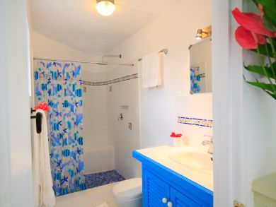 St. Lucia Home 943034