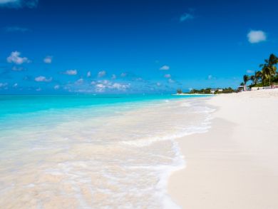 Amazing Beachfront Property