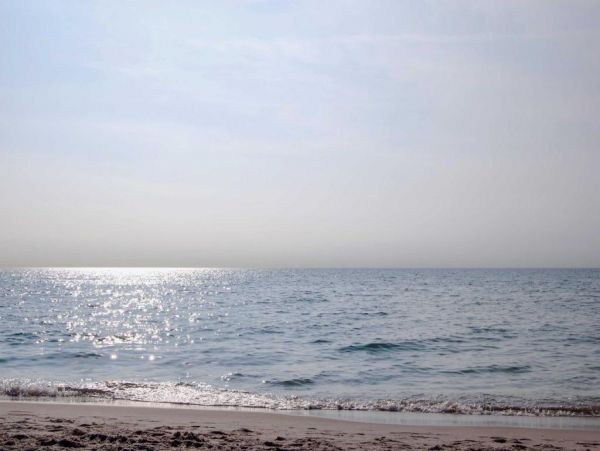 Naples 4 Bedroom Home Private Heated Saltwater Pool & Lanai
