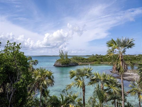Bahamas Posh 6 Bedroom plus Loft Beachfront Estate with Private Pool