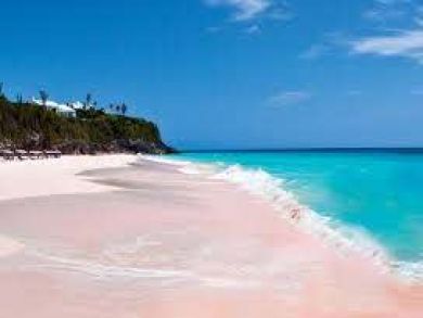 Bahamas Vacation Pool Home Plus Guest House Sleeps 8 Guests Bahamas Vacation Pool Home Plus Guest House Sleeps 8 Guests