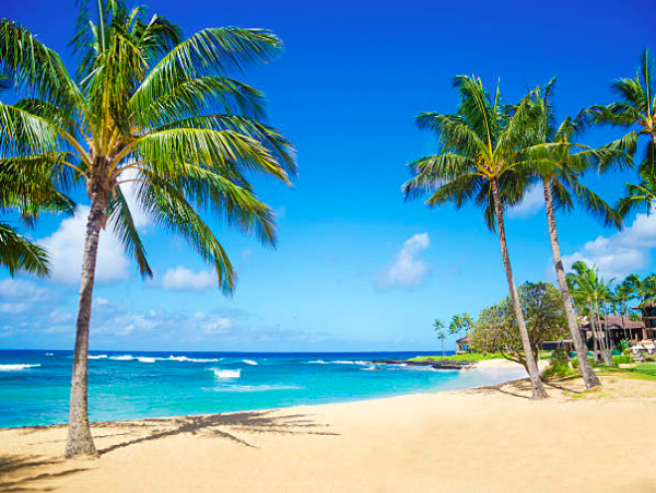 Modern Island Escape with Resort Amenities - Walk to Beaches