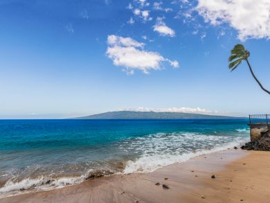 Two Top Floor Beachfront Condos Booked Together Sleeps 12