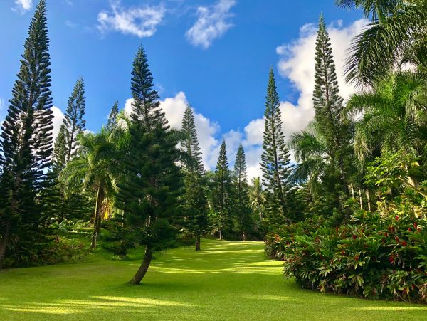 Stunning Hana Vacation Home Plus Cottage Sleeps 10 Guests
