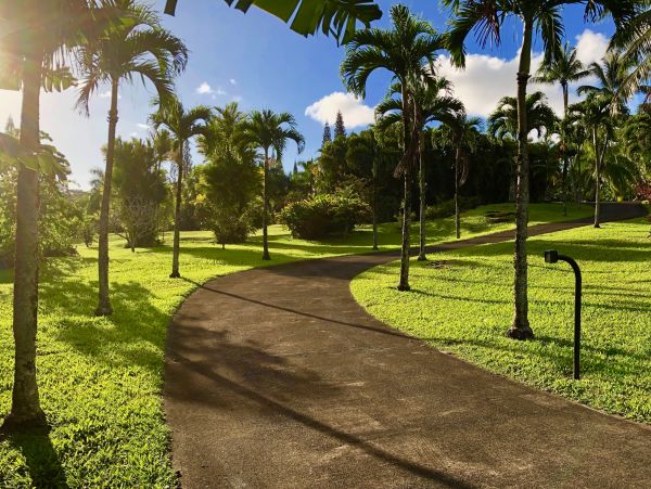 Stunning Hana Vacation Home Plus Cottage Sleeps 10 Guests