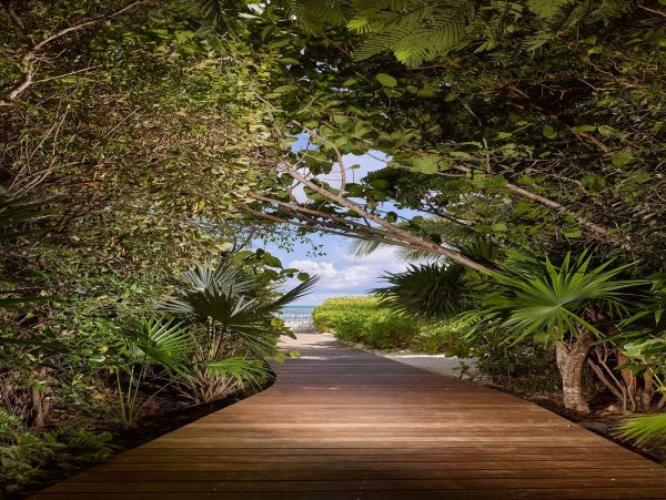 Brand New Beachfront Estate in Thompson Cove