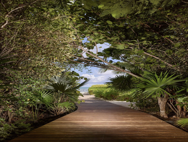 Brand New Beachfront Estate in Thompson Cove