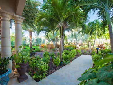 Anguilla Home 944808