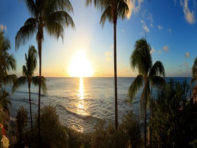 Barbados Home 944845