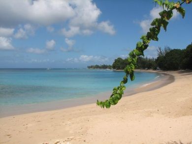 Barbados Condo 944873