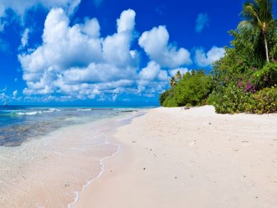 Barbados Home 944883