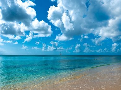 Barbados Condo 944884