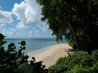 Barbados Condo 944884