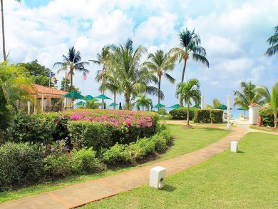 Barbados Condo 944885
