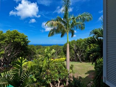 Barbados Home 944890