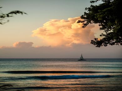 Barbados Home 944895