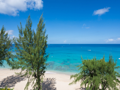 Barbados Condo 944908