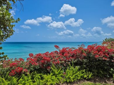 Barbados Home 944973