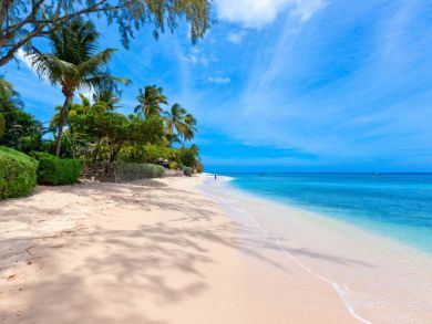 Barbados Home 944975