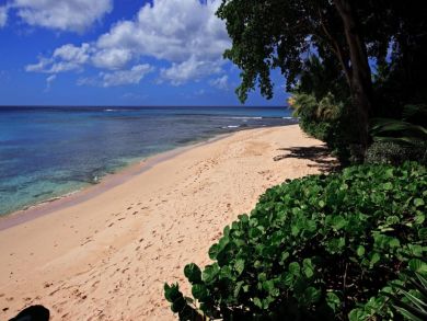 Barbados Home 944976