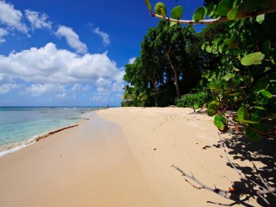 Barbados Home 944976