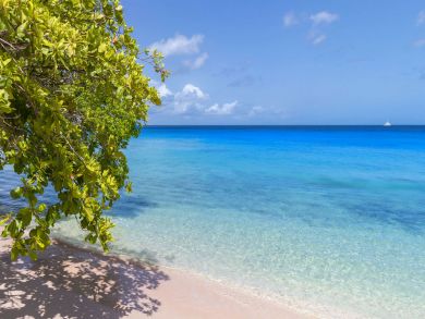 Barbados Home 945010