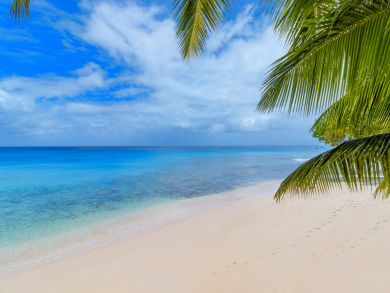 Barbados Home 945010
