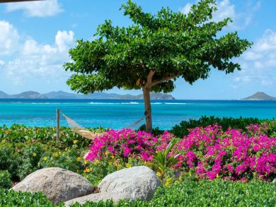 British Virgin Islands Home 945019