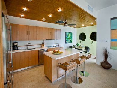 British Virgin Islands Home 945037