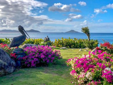 British Virgin Islands Home 945038