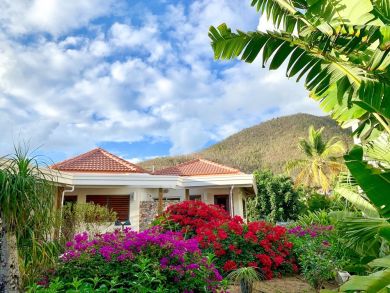 British Virgin Islands Home 945038
