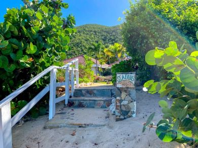 British Virgin Islands Home 945039