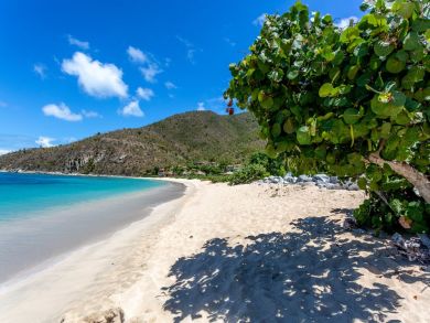 British Virgin Islands Home 945039