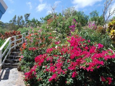 British Virgin Islands Home 945040 British Virgin Islands Home 945040