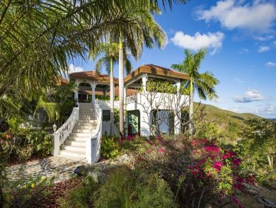 British Virgin Islands Home 945047