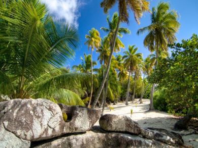 British Virgin Islands Home 945050