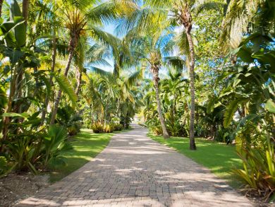Cayman Islands Home 945054
