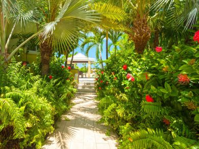 Cayman Islands Home 945062