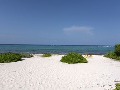 Cayman Islands Home 945072