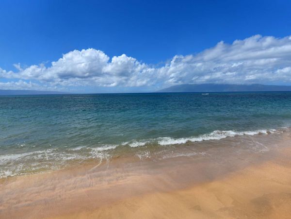 Kahana Oceanfront Two Bedroom Vacation Condo Sleeps 6 Guests