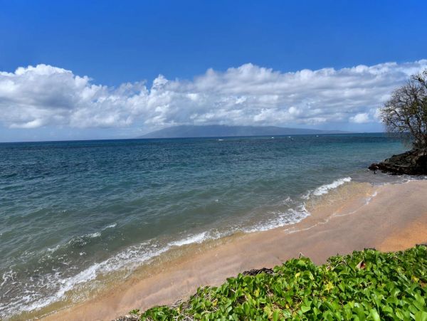 Kahana Oceanfront Two Bedroom Vacation Condo Sleeps 6 Guests