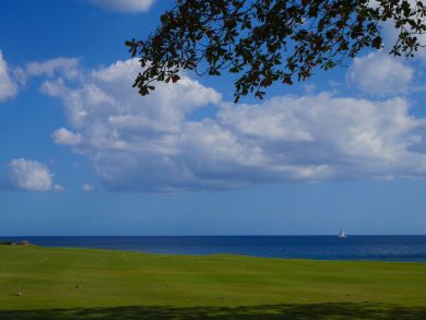 Dominican Republic Home 945159