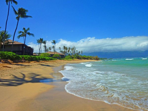Luxury Kihei Ocean View Estate Sleeps 50 Guests Pool