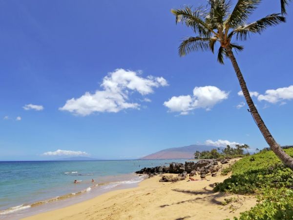 Luxury Kihei Ocean View Estate Sleeps 50 Guests Pool