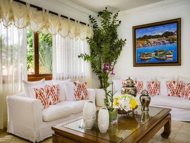 Dominican Republic Home 945176