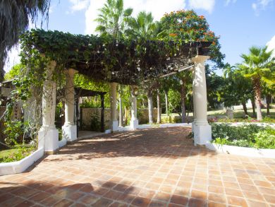 Dominican Republic Home 945177