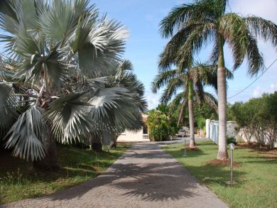 Saint Maarten Saint Martin Home 945236
