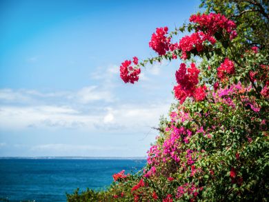 Saint Maarten Saint Martin Home 945259