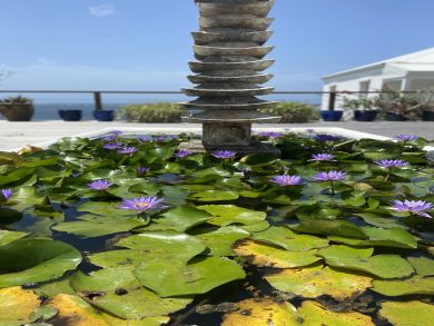 Saint Maarten Saint Martin Home 945277