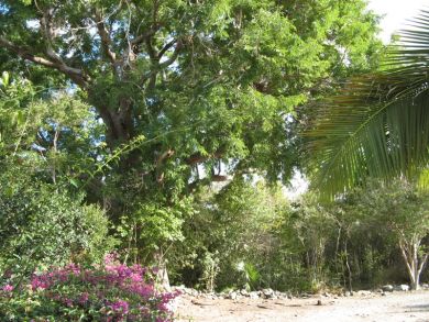 St. John Home 945351